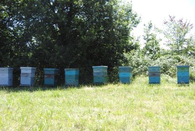 Boucle de la Tour Blanche