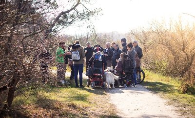 Balade à roulettes : La forêt du Bourgailh