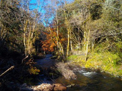 VTT - La Méouzette - 11 km - circuit 64