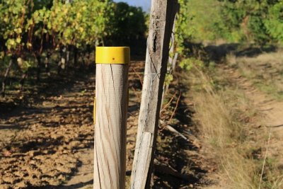 Boucle de Pécharmant - Bergerac