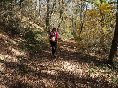 Le sentier de Portet
