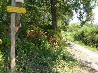 Maucor : Berges du Laaps