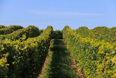 Buzet, un port entre Canal et Baïse