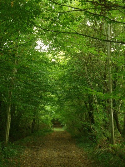 Itinéraire de la Croix Robert