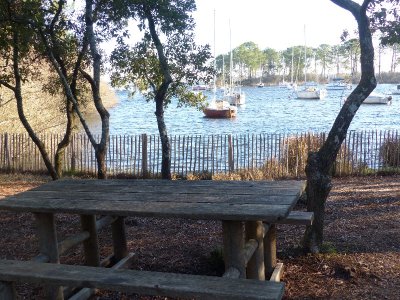 Sentier des Rousserolles - Réserve Naturelle de Hourtin