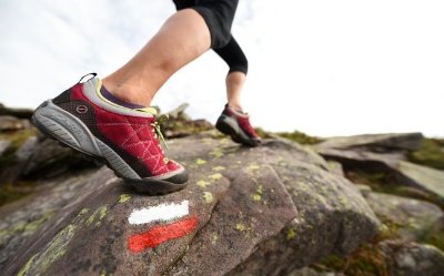 Du Col de Bagargiak à Logibar