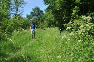 Bartas de l'Ardanavy / Ardanabiako bartak