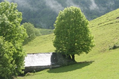 La boucle du Turon de Técouère à VTT