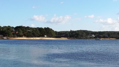 A Mimizan Plage, Sentier des Aigrettes