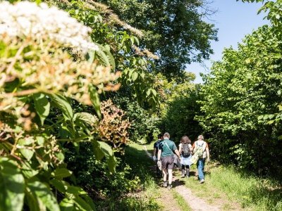 Boucle Latresne/ Cénac/ Camblanes et Meynac