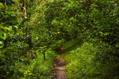 Rontignon - Sentier des Crêtes