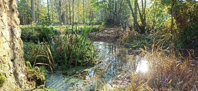 Liaison 19,8km Base VTT Vasles - Gourgé