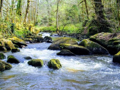 La Grande Boucle du Parc :  Etape 2 : De Saint Saud Lacoussiere à Nontron