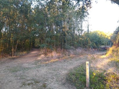 Parcours d'orientation du Lac du Cébron