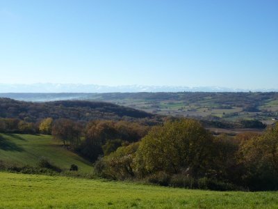 Lespielle : entre moulin et orchidées