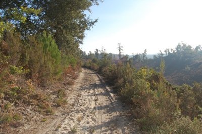 A Vielle-Saint-Girons, circuit des Bareuyes