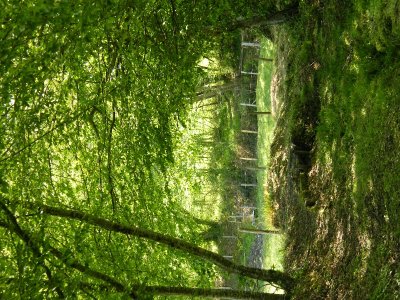 Circuit pédestre D'eau et de quartz NZ1