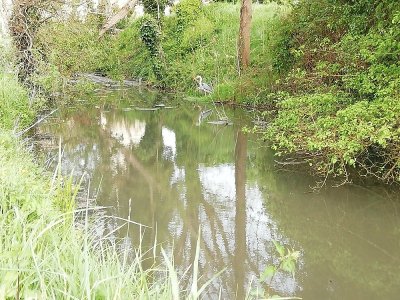 Circuit VTT 7 - La Rive gauche Graoussettes