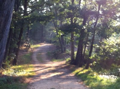 La Boucle VTT de Saint-Priest-sous-Aixe - Circuit n°1 Val de Vienne Tour
