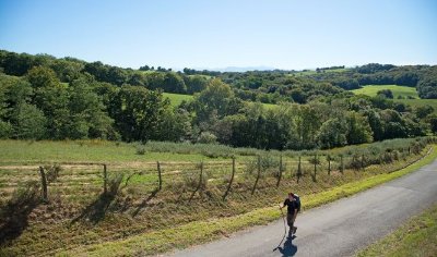 De Maslacq à Navarrenx