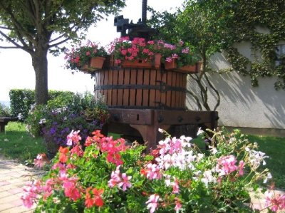 Champillon, délices de l’œil et du palais