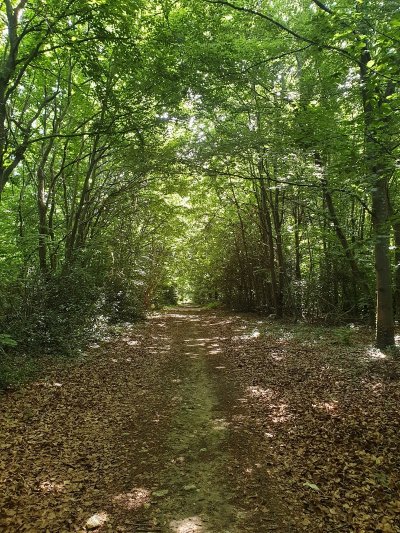 La Fontaine Chaudron (variante)