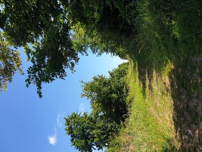 Du mont Volant aux Ployes