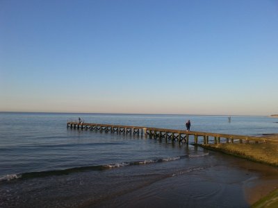 Randonnée Sur les bords des Veys