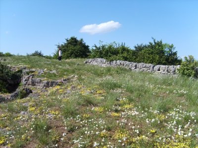 Randonnée Le plateau du Guilhaumard - PR44