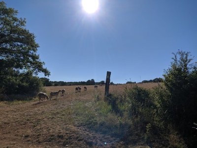 VTT - Circuit 4 Les Trois Châteaux