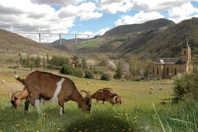 Circuit Navas VTT n°3