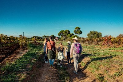 OENORANDO® DES BALCONS D'ALIGNAN DU VENT