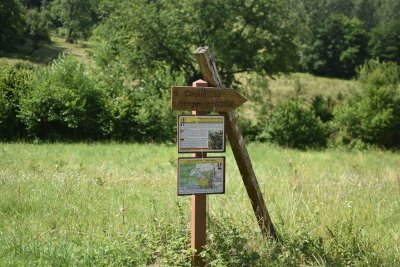 Circuit historique du Sergent Alvin York