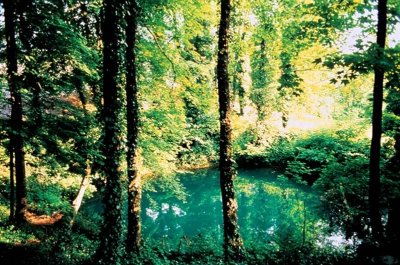 Circuit du Bois de Néparcy