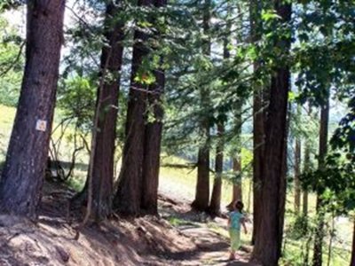 Randonnée "Circuit du Mont Malgré-Tout"