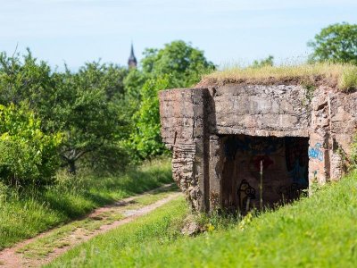 Sentier viticole des Coteaux du Vieil-Armand