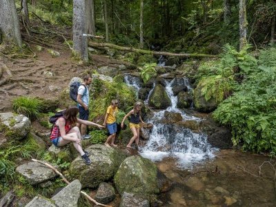 Circuit rando CDF13 :  La cascade de La Serva (circuit court)