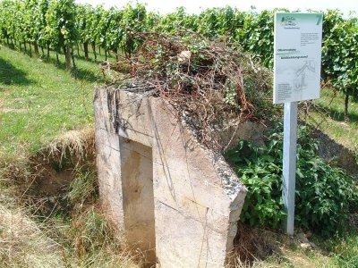 Randonnée Sentier des Casemates