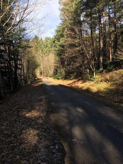 Piste cyclable transfrontalière Villé-Elzach