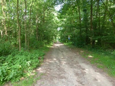 Circuit découverte Sentier botanique de Gries