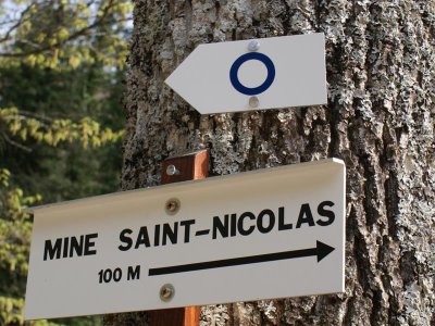 Trail Silberthal - Camp Turenne