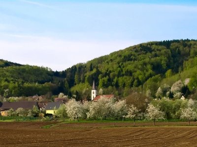 Circuit VTT n°8 Le Chemin de St Jacques