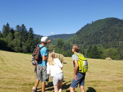 Circuit poussettes C03 : Sur la route de Plaine aux Quelles