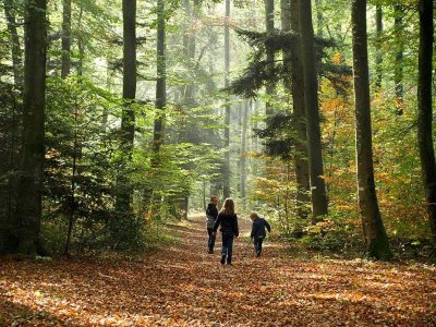 Randonnée pédestre: Kiffis le Hornihof