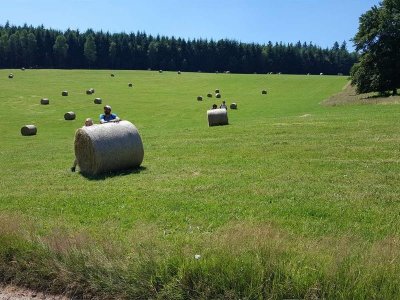 Balade famille : Les petits princes en principauté de Salm
