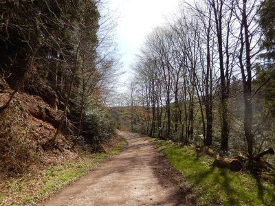 Circuit des 5 Fontaines