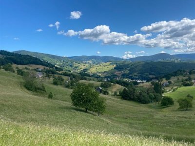 Circuit rando - des pierres tremblantes aux sources d'Orbey