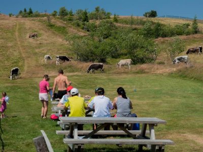 Balade : Le petit tour du Markstein