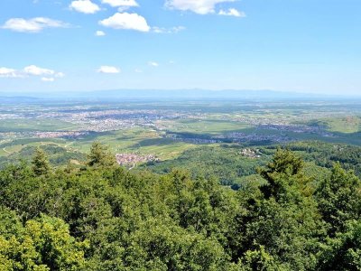 Circuit rando - d'Ammerschwihr au sommet du Galtz