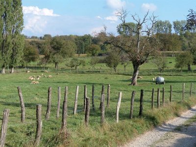 Circuit des collines de Rixheim